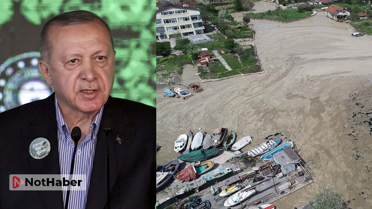 Erdoğan müsilaj felaketine el attı: Marmara Denizi’ni kurtaracağız!