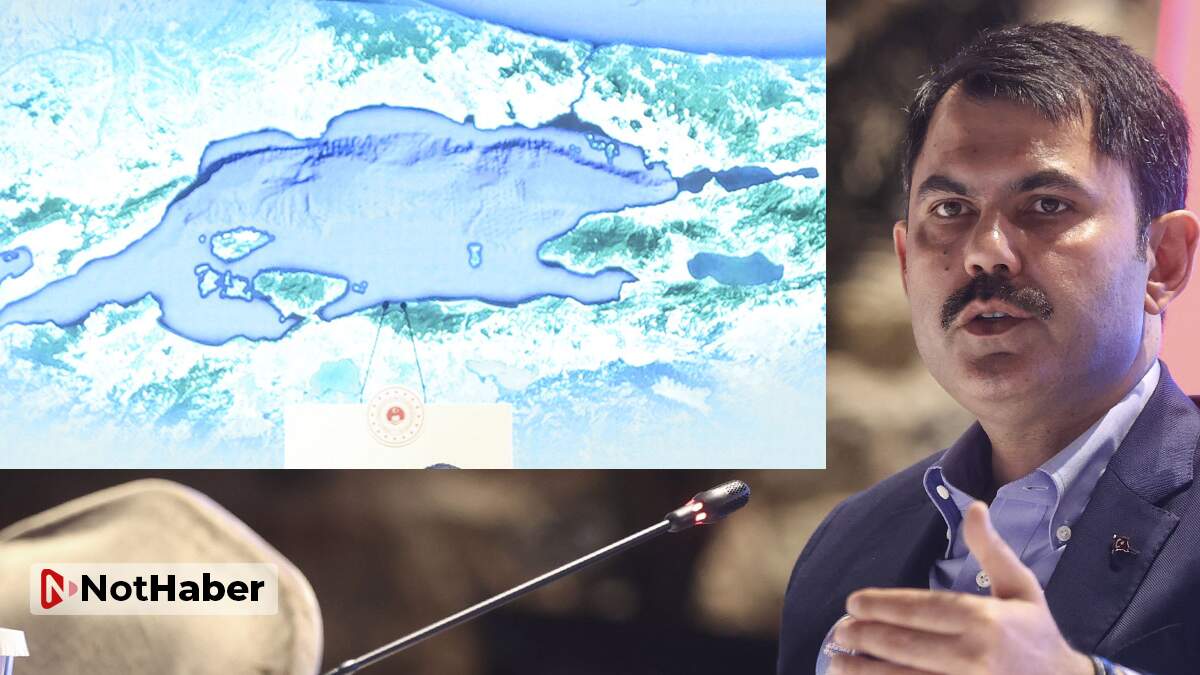 Marmara Denizi koruma alanı ilan edilecek!