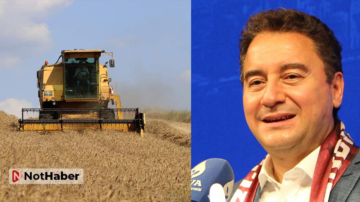 Ali Babacan: İlk 90 günde çiftçimize rahat bir nefes aldıracağız!