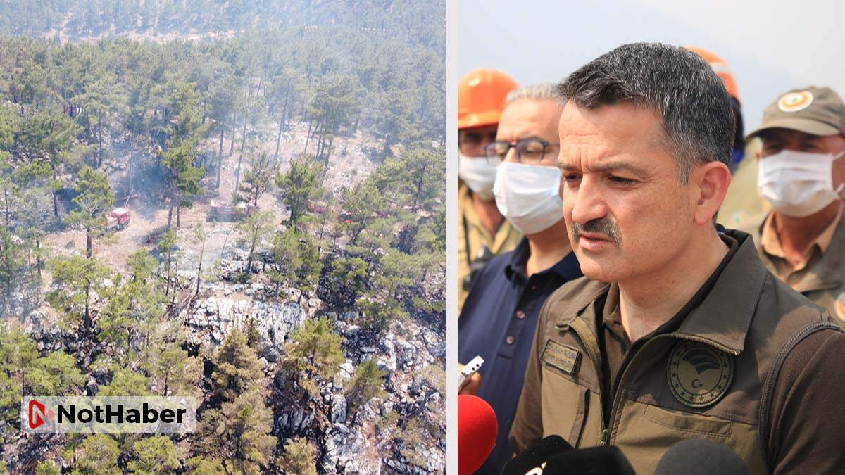 Bakan Pakdemirli: Üç gündür süren orman yangınları kontrol altına alındı