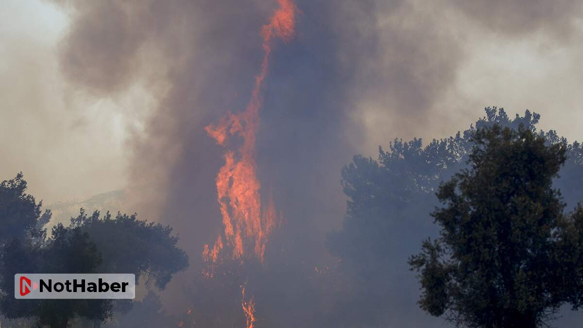 Bakan Pakdemirli: Manavgat orman yangını kontrol altına alınamadı!