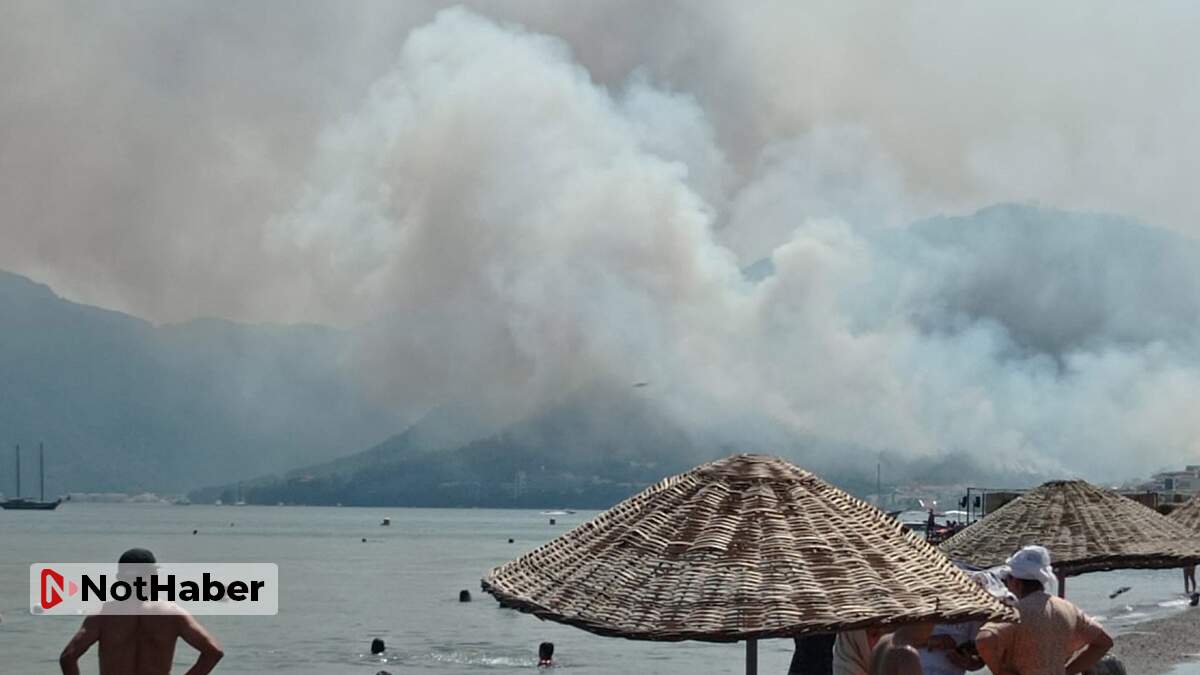 Manavgat’tan sonra bir orman yangını da Marmaris’te çıktı!