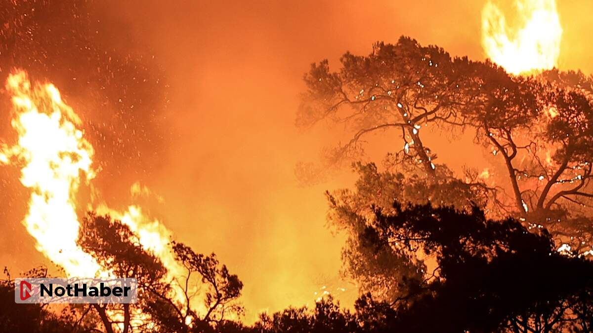 Orman Bakanı Pakdemirli: 163 orman yangınından 152’si söndürüldü
