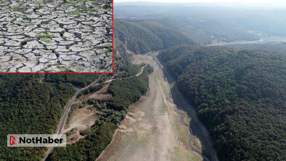 İstanbul barajları yeniden alarm veriyor! Su seviyesi kritik düzeyde