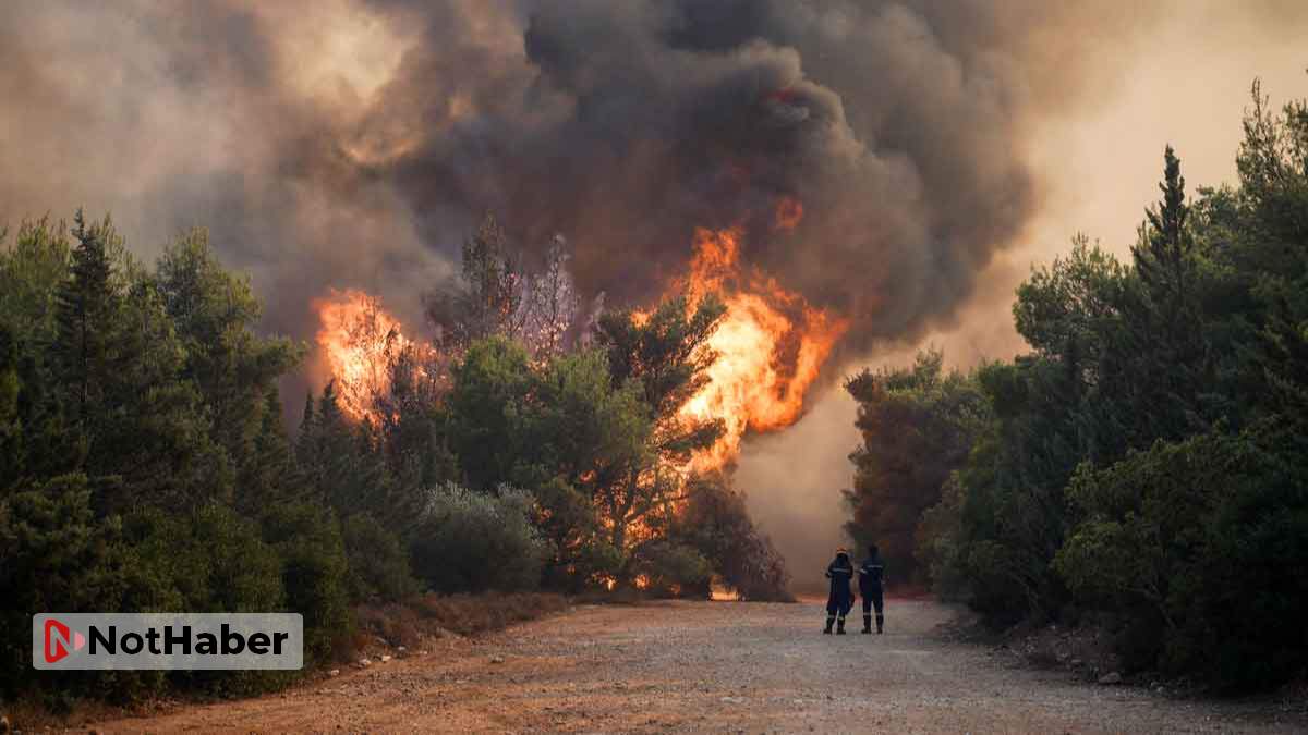 Orman yangınları yeni bakanlık kurdurttu