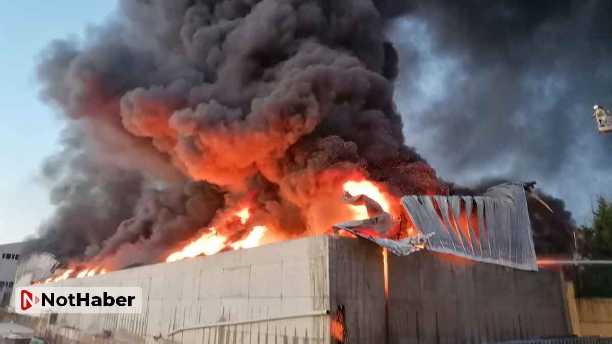 Silivri’de plastik fabrikasında yangın!