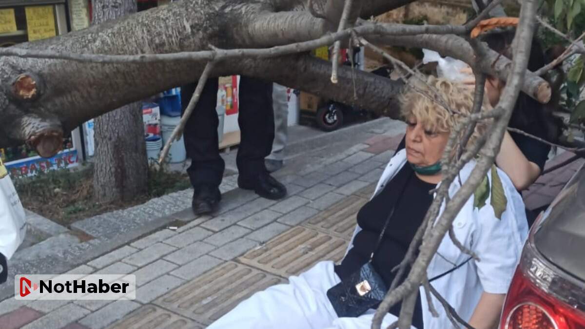 Bakırköy'de ağaç devrildi, 1 kişi yaralandı