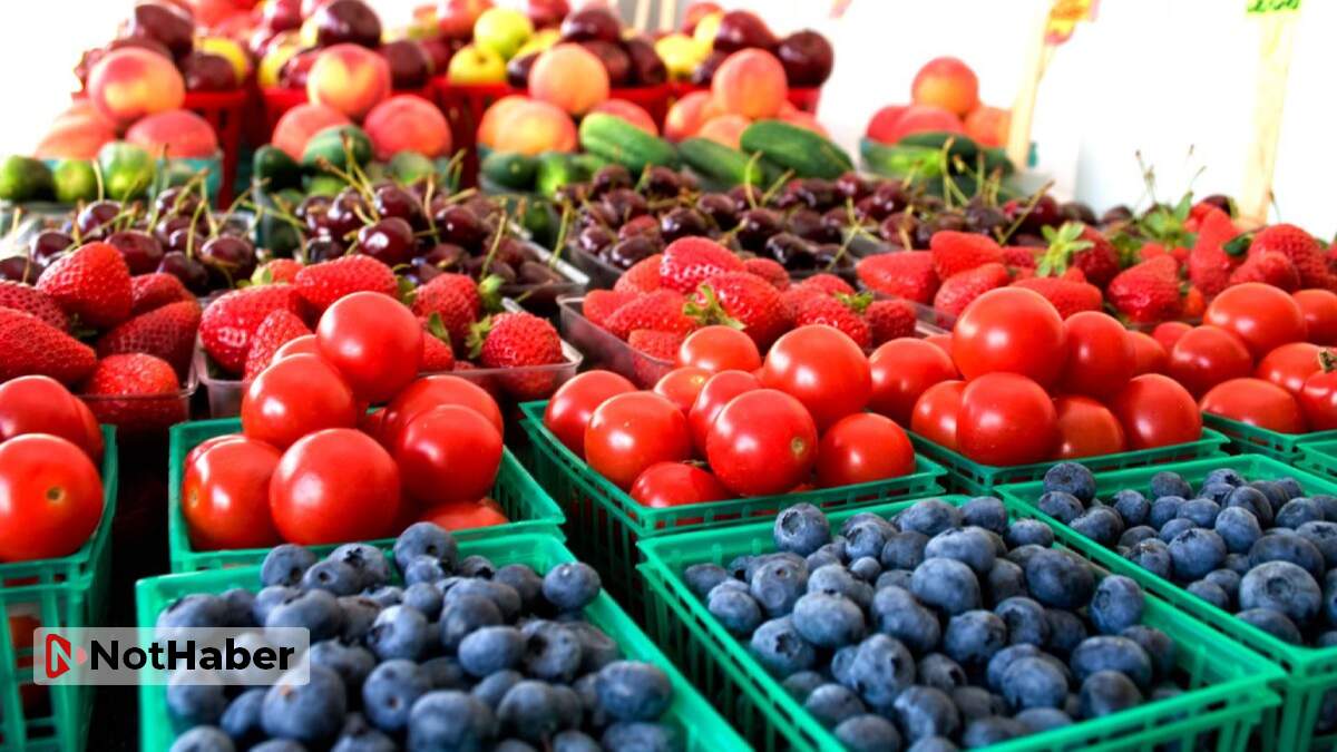 Yaş meyve sebze ihracatında sevindiren artış