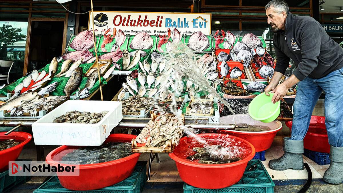 İstanbul’da balık fiyatları ne kadar?