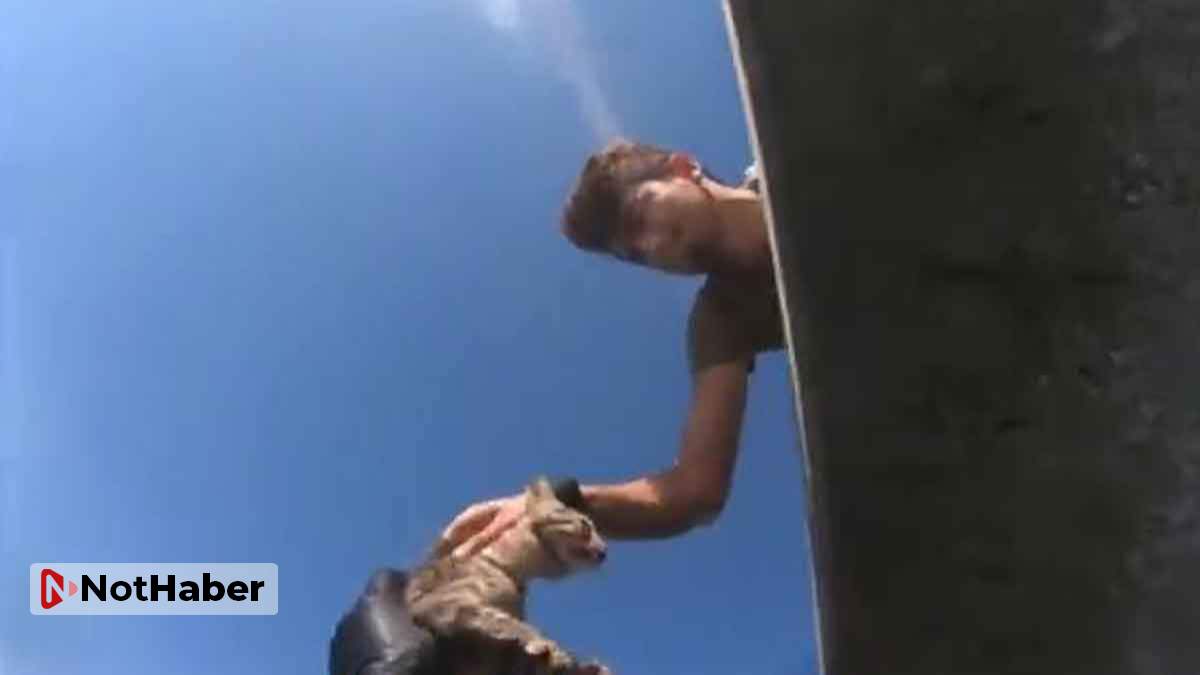 Beykoz'da iskele altından sıkışan kedi kurtarıldı