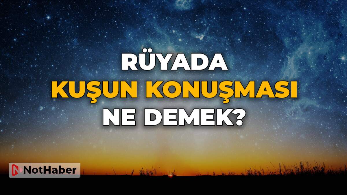 Rüyada kuşun konuşması ne anlama gelir?