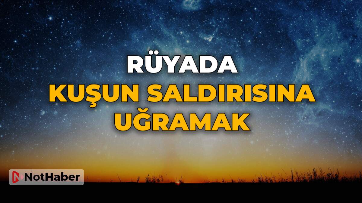 Rüyada kuşun saldırısına uğramak ne anlama gelir?