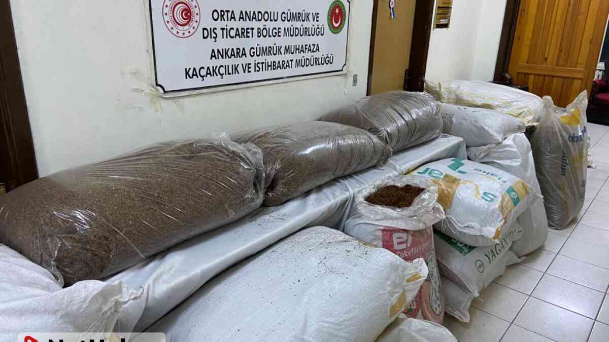 Gümrük Muhafaza ekipleri Ankara'da 1 ton 150 kilogram kaçak tütün ele geçirdi