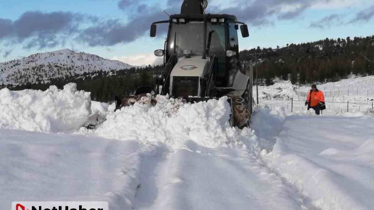 Mersin'de karda mahsur kalan çoban ve keçi sürüsü kurtarıldı